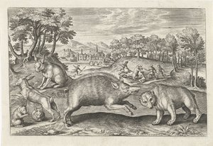 jagt vildt Firebenede dyr (serietitel) Animalivm Qvaddrvpedvm (serietitel) af Adriaen Collaert