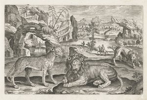 Løver og Leopard Firebenede dyr (serietitel) Animalivm Qvaddrvpedvm (serietitel) af Adriaen Collaert