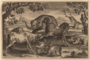 Løve, tyr, ræv, ulv, hund, boer, ged, hest, elefant og hjorte af Adriaen Collaert