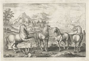Heste Firebenede dyr (serietitel) Animalivm Qvaddrvpedvm (serietitel) af Adriaen Collaert