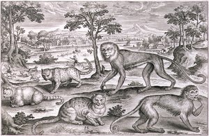 Tre katte og to aber (gravering) af Adriaen Collaert