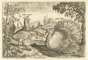 To høns i et landskab Avium Vivae (serietitel) Fugle (serietitel) af Adriaen Collaert