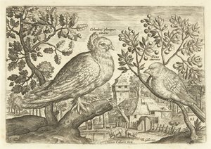 To fugle i et landskab Avium Vivae (serietitel) Fugle (serietitel) af Adriaen Collaert