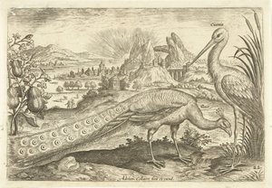 To fugle i et landskab Avium Vivae (serietitel) Fugle (serietitel) af Adriaen Collaert
