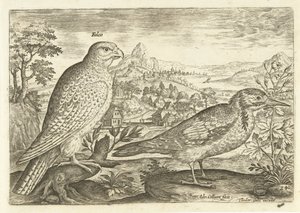 To fugle i et landskab Avium Vivae (serietitel) Fugle (serietitel) af Adriaen Collaert
