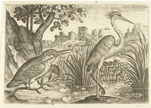 To fugle i et landskab Fugle (serietitel) Avium Vivae (serietitel) af Adriaen Collaert