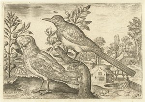 To fugle i et landskab Fugle (serietitel) Avium Vivae (serietitel) af Adriaen Collaert