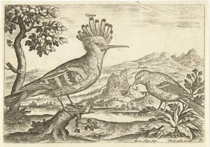 To fugle i et landskab Fugle (serietitel) Avium Vivae (serietitel) af Adriaen Collaert