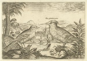To fugle i et landskab Fugle (serietitel) Avium Vivae (serietitel) af Adriaen Collaert