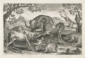 kæmpende dyr Firebenede dyr (serietitel) Animalivm Qvaddrvpedvm (serietitel) af Adriaen Collaert