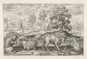 Forskellige dyr Firebenede dyr (serietitel) Animalivm Qvaddrvpedvm (serietitel) af Adriaen Collaert