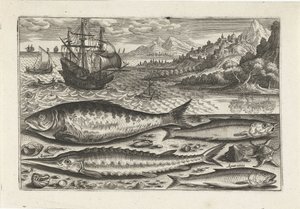 Fire fisk på stranden Fiskeri (serietitel) Piscium vivae-ikoner (serietitel) af Adriaen Collaert