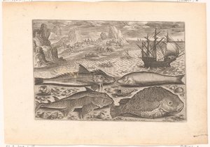 Fire fisk på stranden Fiskeri (serietitel) Piscium vivae-ikoner (serietitel) af Adriaen Collaert