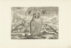 Fugle og sommerfugle i et landskab Fugle (serietitel) Avium vivae (serietitel) af Adriaen Collaert
