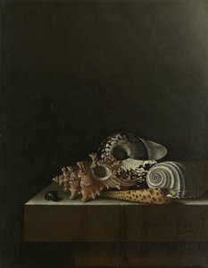 Skaller på en stensokkel af Adrian Coorte