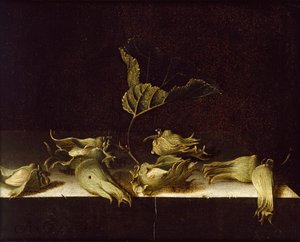 Stilleben med hasselnødder, 1696 af Adrian Coorte