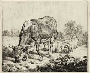 En ko og tre får af Adriaen van de Velde