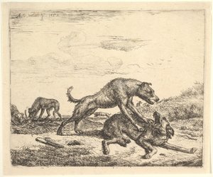 Kamphunde, fra forskellige dyr, 1657. af Adriaen van de Velde