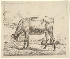 Græssende kalv, fra forskellige dyr, 1658. af Adriaen van de Velde