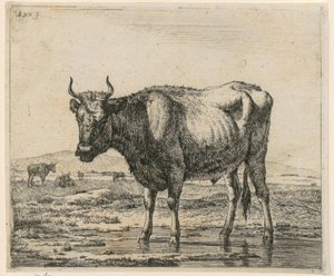 Tyr stående i vand, blad 6 fra serien »Forskellige dyr« af Adriaen van de Velde