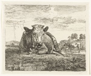 liggende ko Forskellige dyr (serietitel) af Adriaen van de Velde