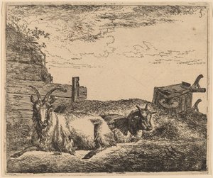 Liggende geder af Adriaen van de Velde