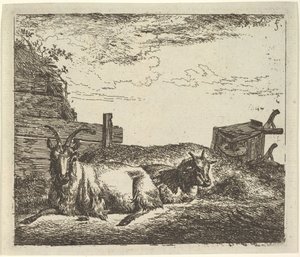 Liggende geder, fra forskellige dyr. af Adriaen van de Velde