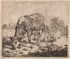 Plettet Tyr og Tre Får af Adriaen van de Velde