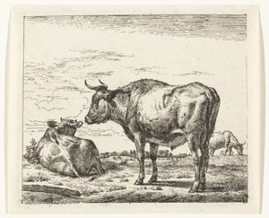 stående tyr Forskellige dyr (serietitel) af Adriaen van de Velde