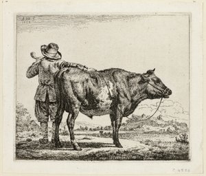 Kohyrden og Tyren af Adriaen van de Velde