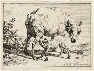 Lammet af Adriaen van de Velde
