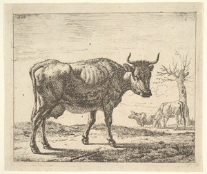 Tre køer, fra forskellige dyr. af Adriaen van de Velde