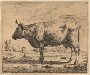 To køer og et får af Adriaen van de Velde