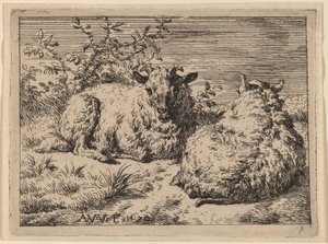 To liggende får af Adriaen van de Velde