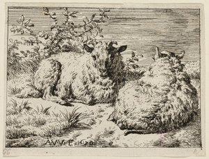 To får af Adriaen van de Velde