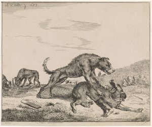 kamphunde Husdyr (serietitel) af Adriaen van de Velde