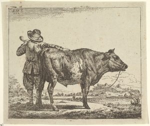 Ung hyrde med en tyr, fra forskellige dyr, 1659. af Adriaen van de Velde