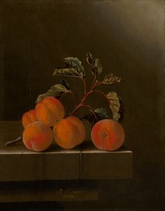 Stilleben med fem abrikoser, 1704