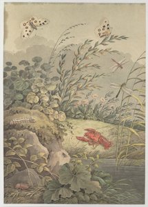 Stykke vand med krabber, sommerfugle, guldsmede og havtorn, ca. 1800.