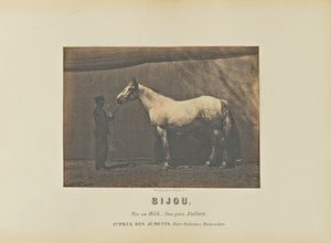 Bijou af Adrien Alban Tournachon