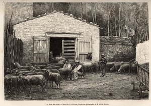 Fårehandelen, hele gårdens personale var beskæftiget med denne opgave, dreng, tjener, under hyrdens opsyn, gravering efter tegning af A.Marie, illustrerende en rejse til Roquefort og omegn, af Adrien Roques og Jules Charton, af Adrien Emmanuel Marie