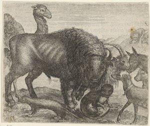 Fabel om bisonen og de andre dyr