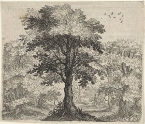 Fabel om Elm og Eg af Egidius  Sadeler (II)