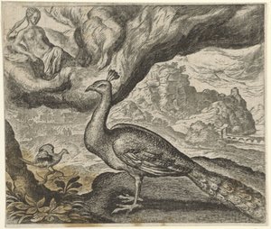 Fabel om påfuglen og nattergalen af Egidius  Sadeler (II)