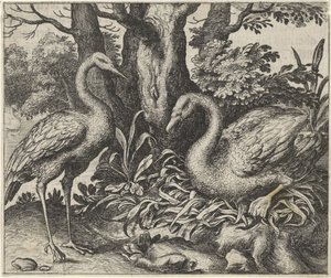 Fabel om Svanen og Storken