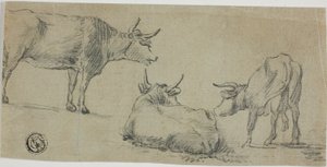 Tre skitser af køer af Aelbert Cuyp
