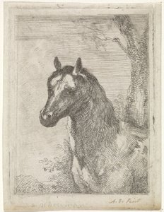 hestehoved af Aert Schouman (signed by artist)