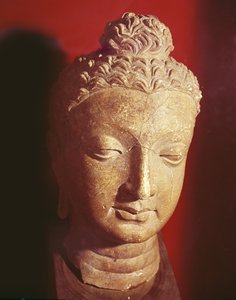 Buddha-hoved, græsk-buddhistisk stil, fra Hadda (keramik)