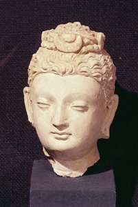 Hoved af en Buddha, græsk-buddhistisk stil, fra Hadda (stuk)