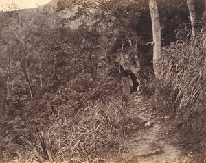 Venstre vej op til Yuen foo kloster, ca. 1869.